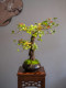 Haohong Jingpin Island Spring Flower Artificial Green Plant High-End Light Luxury Living Room Entrance Ancient Tree Potted Plant Indoor Zen Ornament
