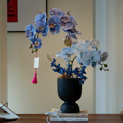 Artificial Phalaenopsis Orchid Plant Bonsai, High-End Realistic Decoration for Entryway, Living Room, Dining Room, and Tabletop