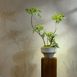 Top Ten Artificial Green Plants with a High-End Feel, Chinese Zen-Style Tea Room Entrance Decoration, Fake Flowers, Small Potted Plant Ornaments