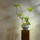 Top Ten Artificial Green Plants with a High-End Feel, Chinese Zen-Style Tea Room Entrance Decoration, Fake Flowers, Small Potted Plant Ornaments