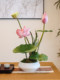 Sea Rainbow Scenery Lotus Artificial Flower New Chinese Style Ornament Vase Zen Entrance Potted Plant High-End Realistic Tea Room Decoration