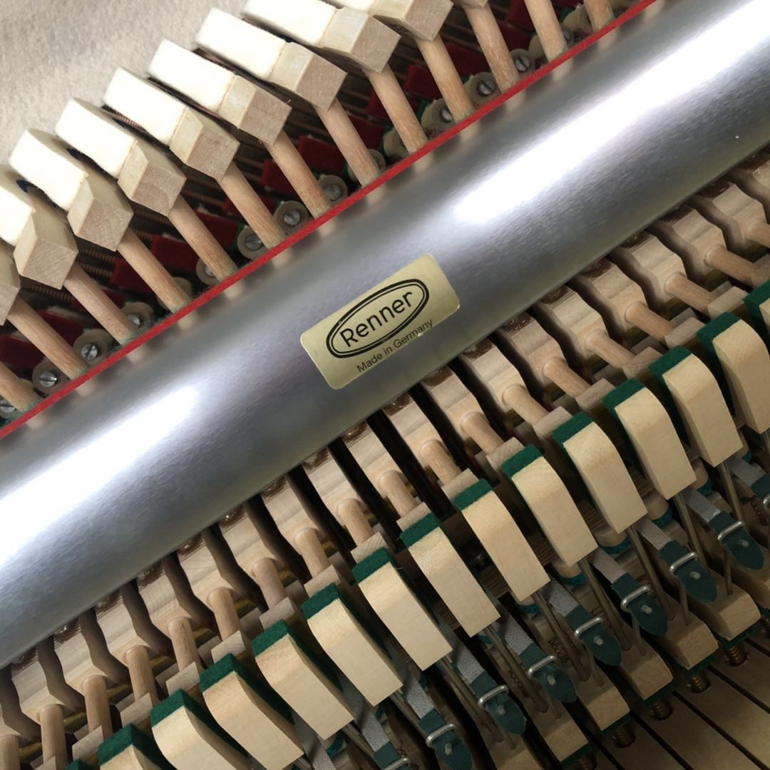 Đức nhập khẩu đàn piano Wilh steinberg William Stanburg Steinberg IQ24 vương miện - dương cầm yamaha ydp