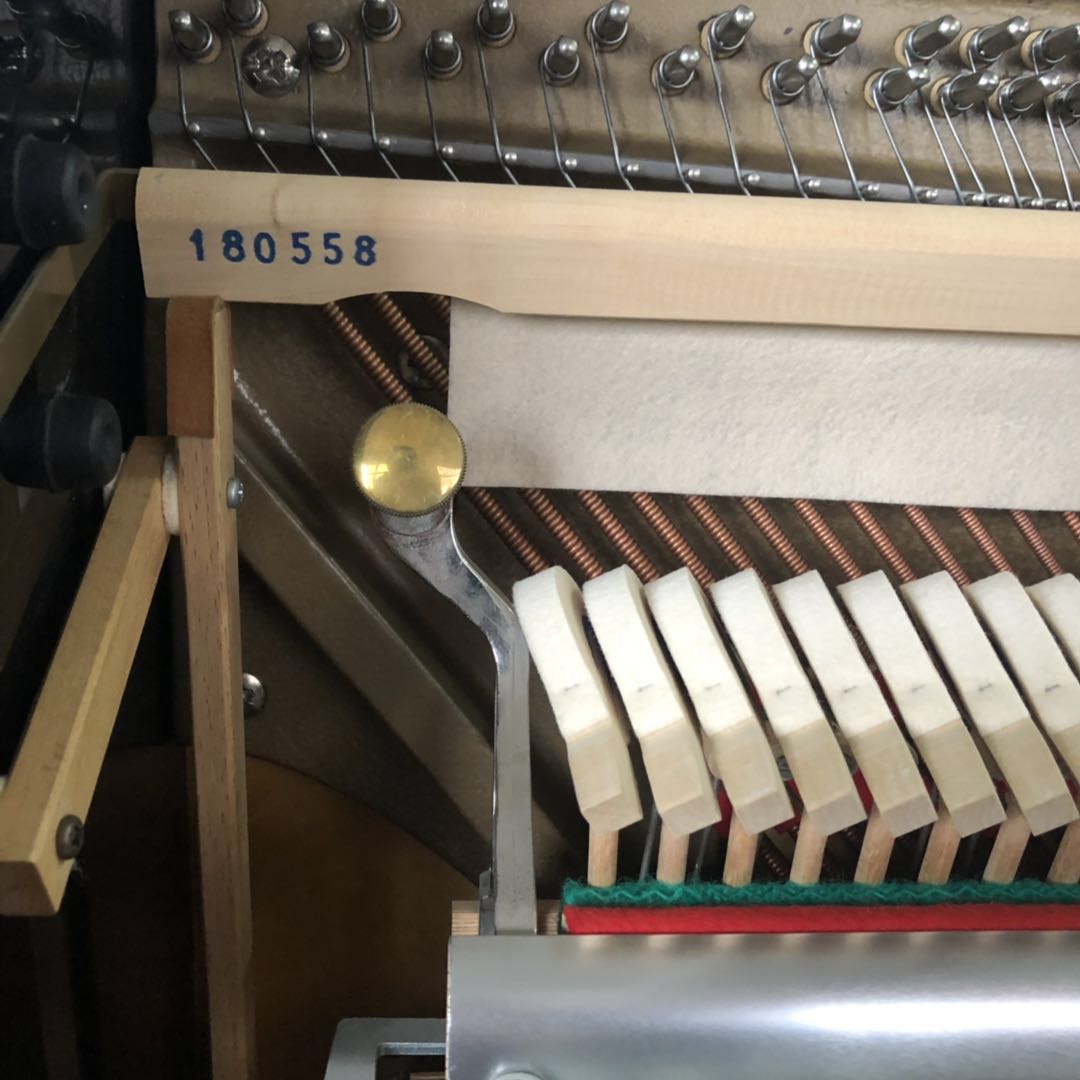 Đức nhập khẩu đàn piano Wilh steinberg William Stanburg Steinberg IQ24 vương miện - dương cầm yamaha ydp