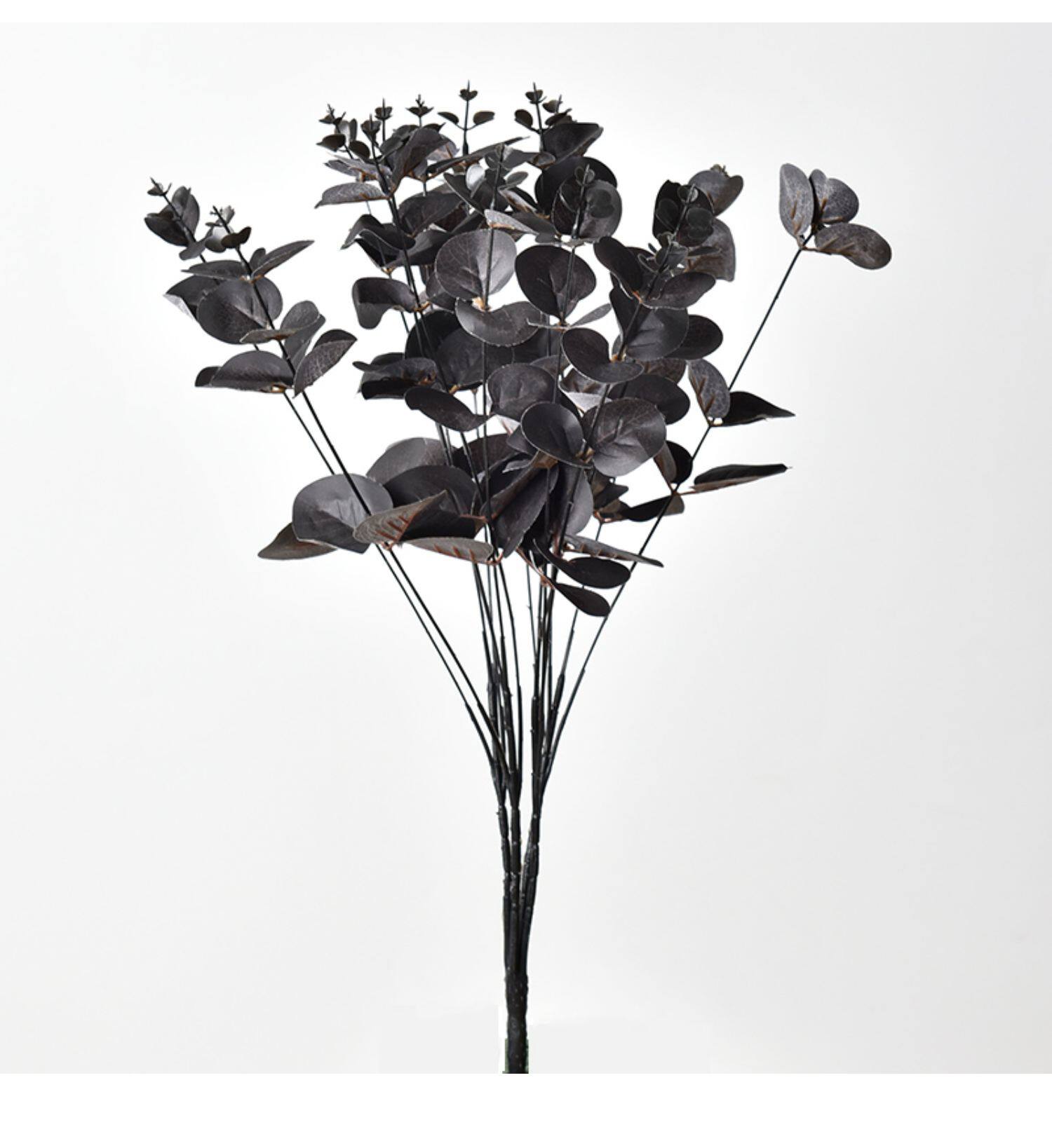 Искусственные цветы 黑色尤加利叶仿真花拍照黑天鹅假玫瑰花拍摄道具哥特不良jk干花束 DARK ANGEL