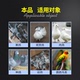 Chim bồ câu Glyde Thuốc chim bồ câu Daquan sử dụng vi khuẩn sống ruột vua điều hòa nước xanh xinxin chim bồ câu cung cấp sức khỏe cho vẹt chim vi khuẩn sống - Chim & Chăm sóc chim Supplies lồng chim sáo Chim & Chăm sóc chim Supplies