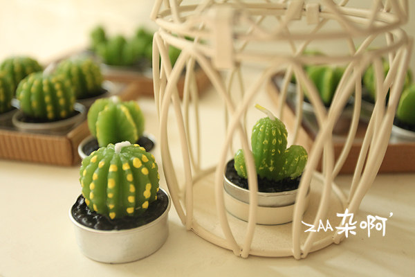 Bougie - Ref 2487986 Image 12