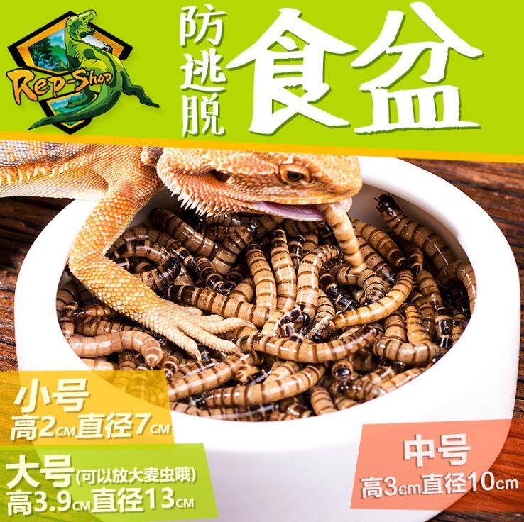 Reptile anti-escape food basin crawling pet lizard guarding the palace mane lion live bread worm barley worm anti-escape super SUDO