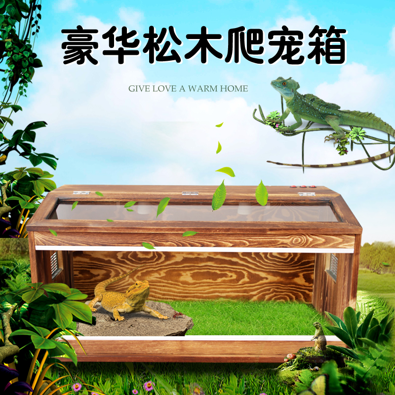 Large carbonized pine tortoise young bird lizard guarding the palace spider snake breeding box incubator reptile box ornamental box wood