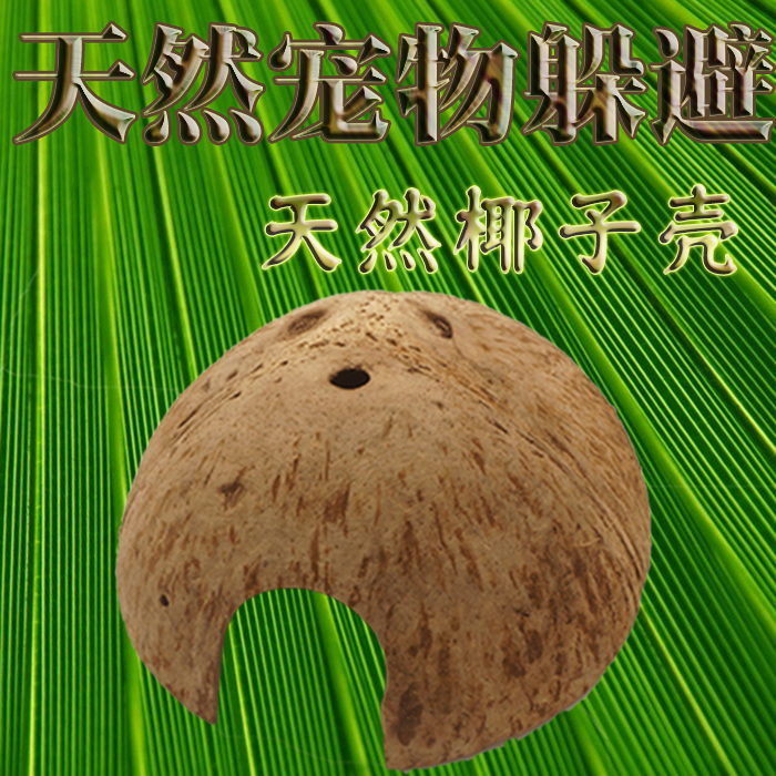 Noro Reptile Coconut Shell Shelter From Cave Spider Scorpion Play Cave Turtle Hibernate to hide from the hiding place