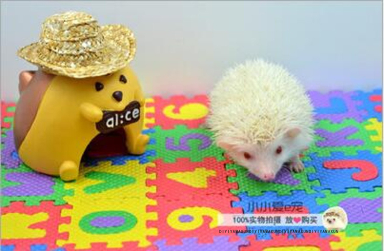 Africa Mini Hedgehog Cartoon Puzzle Floor Rearing Box Decorated Hamster Ground Mat