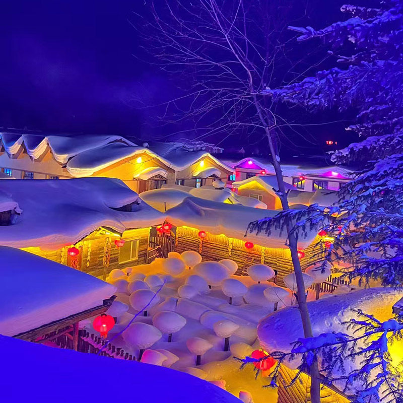 东北哈尔滨雪景长白山雪地拍照新疆旅游穿搭的LOGO