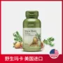 GNC / 健 安 喜 Viên nang Maca 0.752g * 100 miếng thực phẩm sức khỏe nhập khẩu - Thực phẩm dinh dưỡng trong nước viên uống vitamin tổng hợp