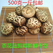 Biyang specialty basswood mushroom cut foot dry goods 500g native Shiitake Mushroom Mushroom mushroom
