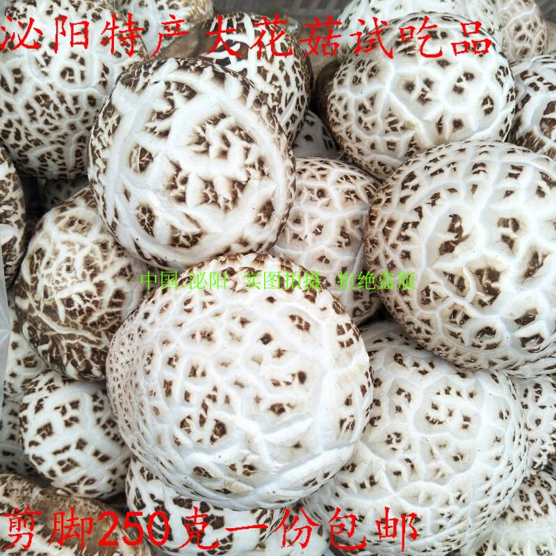 (Sample size)Big flower mushroom cut foot farm dried flower mushroom local 250g Meiyang flower mushroom Shiitake mushroom