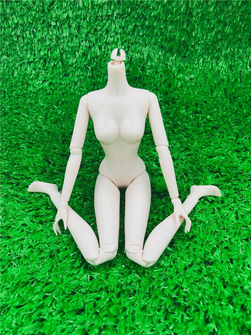 Xinyi vegetarian body 16 joint bird sitting white muscle small chest free mail