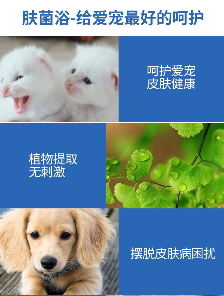 Nấm thú cưng Kang lotion chó da bệnh thuốc tắm nấm lỏng mèo liếm mèo 癣 mèo tắm gel diệt vi khuẩn - Cat / Dog Medical Supplies giá máy siêu âm chó mèo