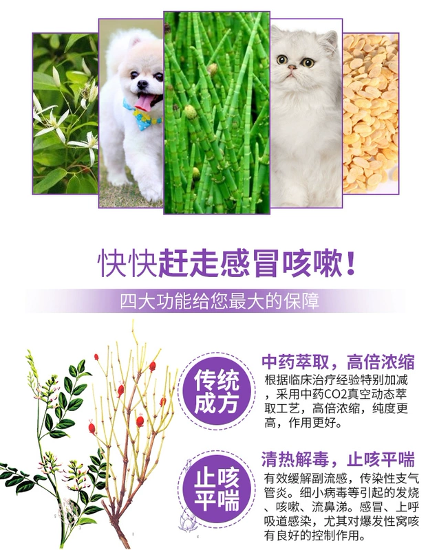 Mubes Ma Xing Shi Gan uống chất lỏng kennel ho mèo chó parainfluenza ngáy thuốc ho nhiễm trùng - Cat / Dog Medical Supplies