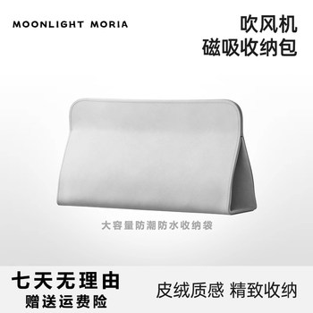 Suitable for Leifen Dyson Hair Dryer Storage Bag, Exclusive Mini Portable Travel Cosmetics Storage Bag