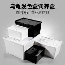 Turtle hair color box live razor West African fruit core red-faced narrow bridge turtle breeding box turtle seedling hair color isolation hatch box