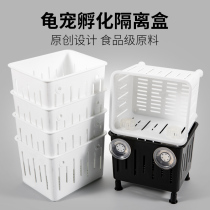 Small turtle seedling isolation box black and white turtle hair color box young turtle turtle feeding egg turtle fish tank fish hatching