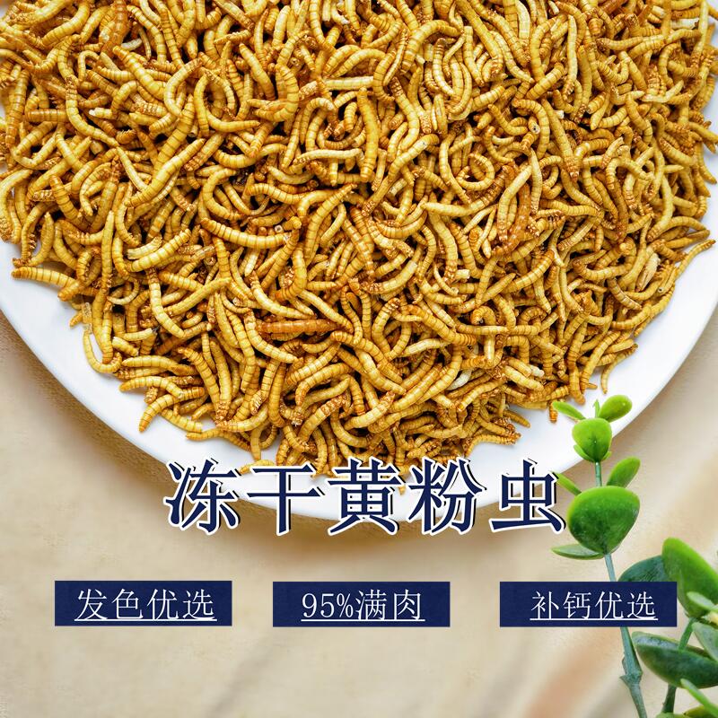 Tenebrio mealworm barley worm freeze-dried hamster turtle hair color calcium supplement