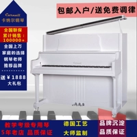 Thương hiệu cao cấp Canar piano thẳng đứng mới bắt đầu cho người lớn mới bắt đầu chơi chuyên nghiệp 88 phím Đức - dương cầm piano mini