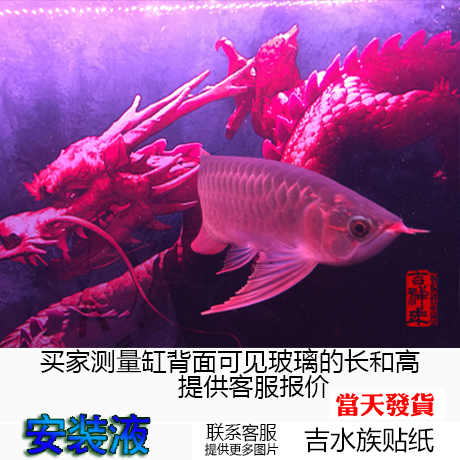 Download 5300 Koleksi Background Aquarium Custom HD Terbaru