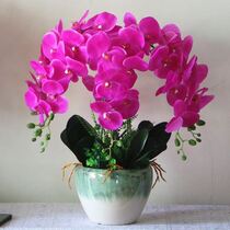 Jo Relocation New Residence Swing Piece Living Room Table Decoration Abstract Emulation Flower Butterfly Orchid Potted Room Eu Style Retro Swing Piece