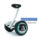 Millet cân bằng xe PLUS nhãn dán trang trí bánh xe chín phụ kiện toàn thân bảo vệ phim dán xe sửa đổi trang trí - Smart Scooter