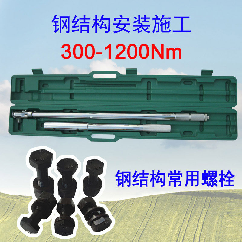Steel structure installation preset adjustable torque wrench 200-1000Nm diesel engine maintenance electric torque wrench