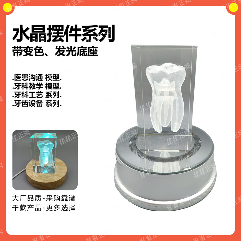 Tooth Model Crystal Ornament Creative Desktop Decoration Medical Research Gift High-End Desktop Ornament