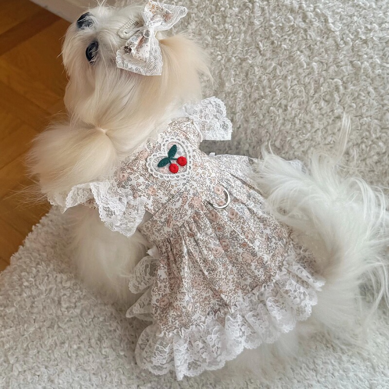 Korean Printed Cotton Pet Dog Clothes for Small Dogs, Lace Floral Princess Dress, Light Luxury Dress Korean Printed Cotton Pet Dog Clothes for Small Dogs, Lace Floral Princess Dress, Light Luxury Dress