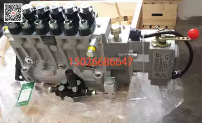 Wuxi Weifu P9W oil pump special with Ningbo Zhongce fuel injection pump BH6P9W150057 original factory
