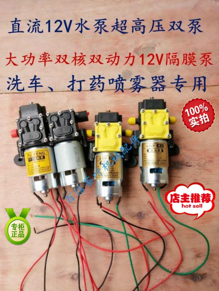 High Power Double Nuclear Pump Electric Nebulizer Accessories Diaphragm Pump 12V Double Nuclear Power Water Pumps Full Copper Wire Booster Pump