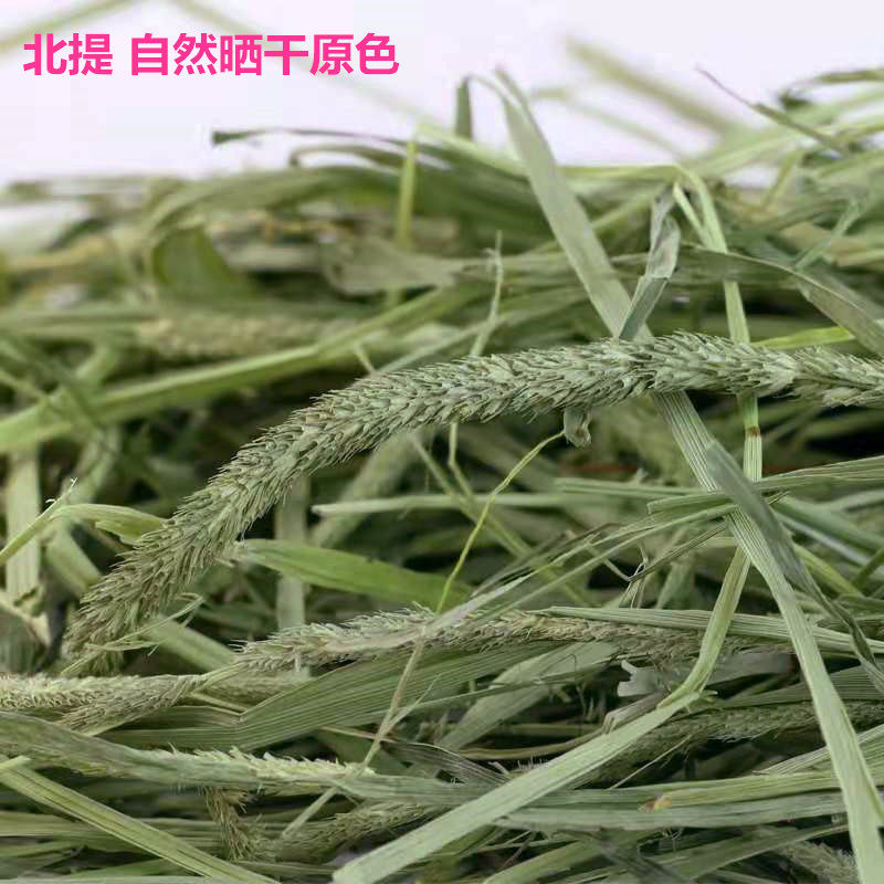 2022 ti Moses Rabbit Grass Feed Dragon Cat Dutch Pig Moses grass pasture geranium Food 500 gr-Taobao