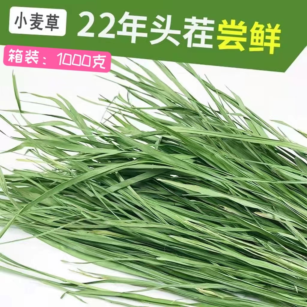 Rabbit rabbit hay dry wheat grass grass forage rabbit grass rabbit grass Dutch pig grass totoro rabbit grain grass 1000g