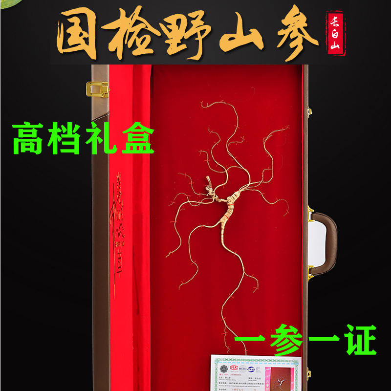 Ginseng Changbai Mountain Wild Mountain Ginseng 20 Years Under the Forest Ginseng Seed Ginseng Wild Dried Ginseng Gift Box Brewed Wine Ginseng National Inspection Second Class