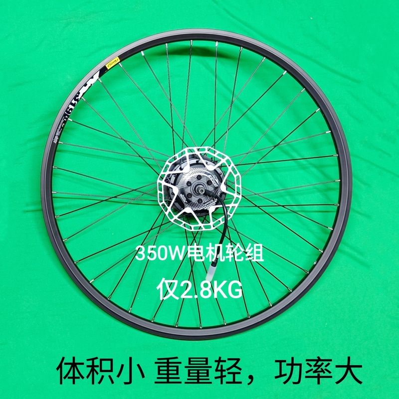 Micro Lightweight Upgraded Torque-Assisted Electric Vehicle Inner Rotor High-Speed Waterproof Motor Wheel Set 36V48V