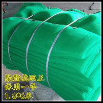 Building protection Mesh safety net Safety net Protective net Anti-weathering High density polyester green net