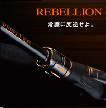 20 New DAIWA daliwa REBELLION reverse Tyrannosaurus single section 2 sea bass rod Luya rod fishing rod