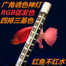 Aifus wide-angle fish tank diving Light led aquarium light enhancement waterproof lighting koi parrot fish dragon fish god lamp