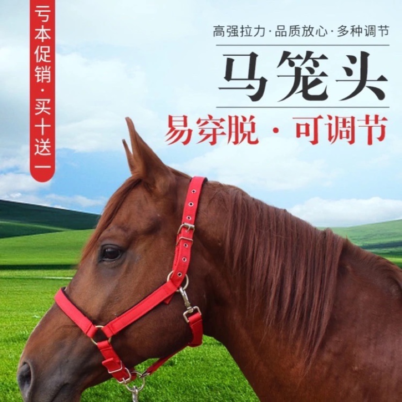 Harness Equestrian products Traction bridle Aluminum alloy ring buckle Training Malone headgear Tied horse sleeve Impulse