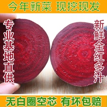 Fresh and fresh vegetables and fruits beetroot red cabbage head pure red Juicy Juice enzyme Pickles 10kg