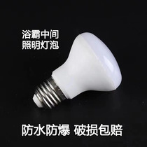 Bath Bully Bulb LED Bath Bully Middle Lighting Bubble Waterproof Explosion Proof Toilet Universal Lighting Small Bulb Light Source