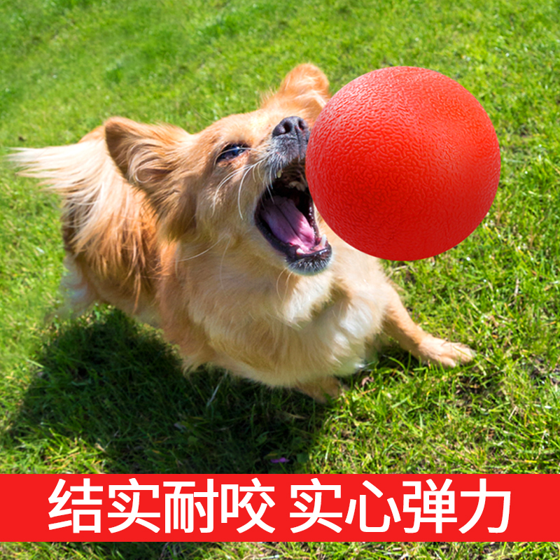 Pet training elastic ball funny cat ball rubber ball silicone ball automatic solid bite-resistant elastic dog toy ball