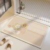 Diatom mud water-absorbent, quick-drying, no-wash wipeable foot mats