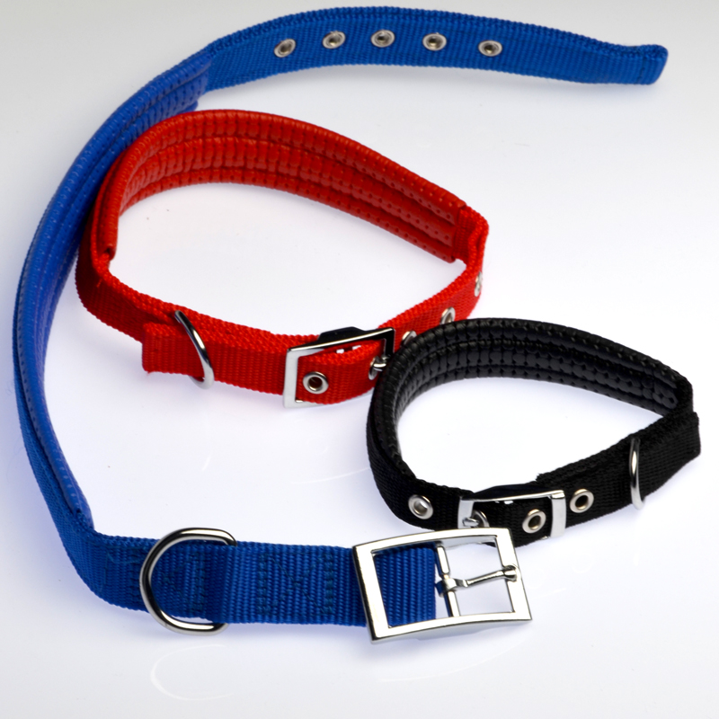 Teddy is 88 - 8 - foam cotton neck circle than Bear Gold Alaska dog collar