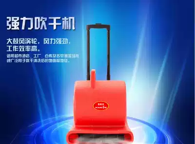 Hair dryer floor carpet hotel dedicated fan leaf air drying hotel wind wheel blast ground Xiangsijie XSJ-900L