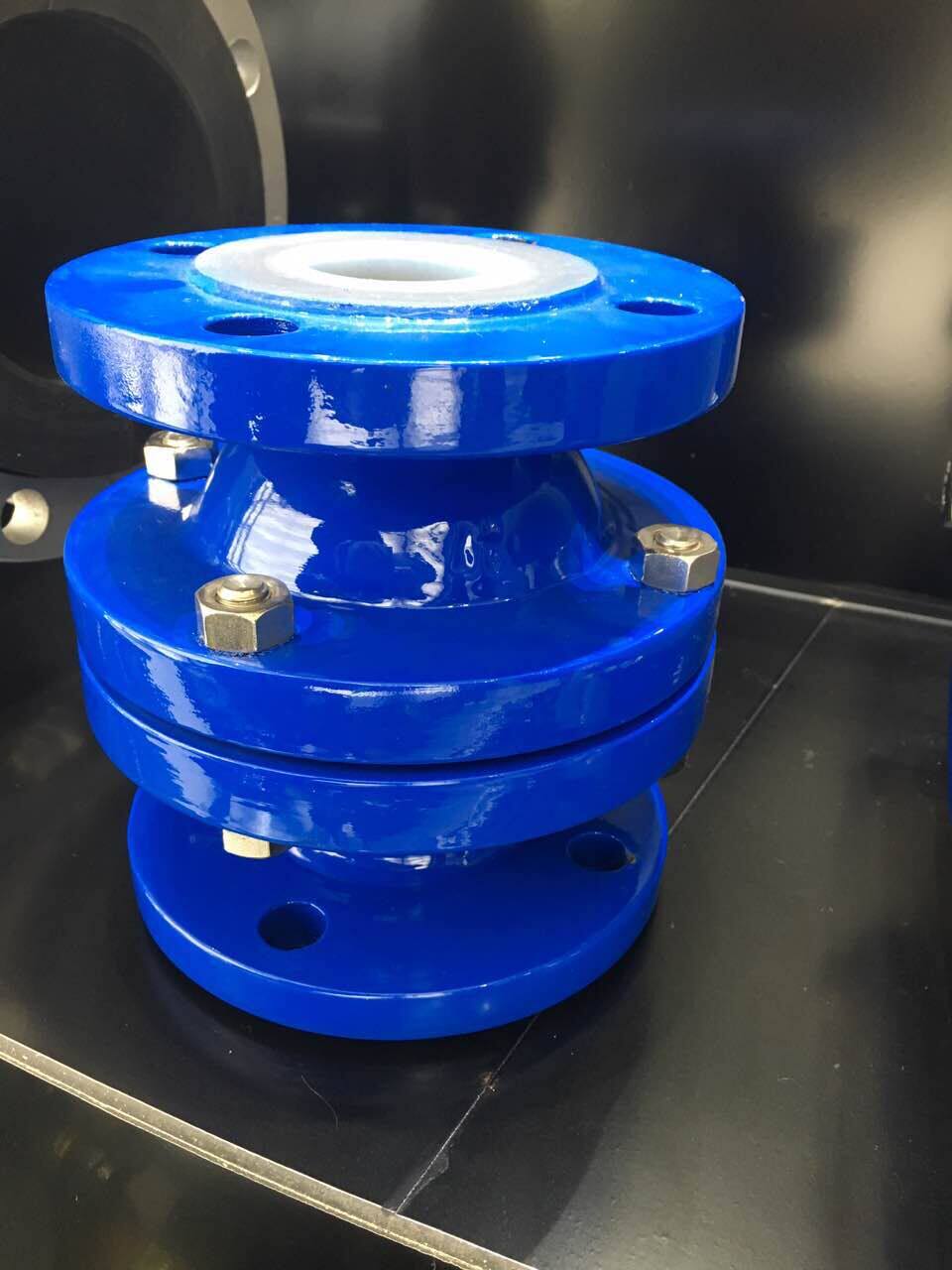 Vertical check valve H12X-16P