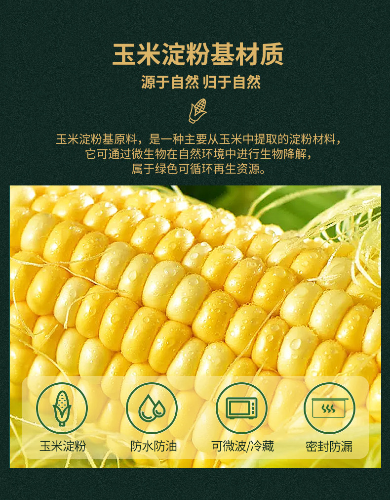 Green Lunch Solution: 4-Compartment Corn Starch Eco-Box - Product image 8